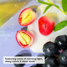 Load image into Gallery viewer, Fresh &amp; Cozy Body Lotion