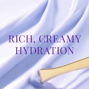 The Dewy Skin Cream Plumping & Hydrating Moisturizer