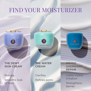 The Dewy Skin Cream Plumping & Hydrating Moisturizer