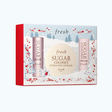 Load image into Gallery viewer, Hydrating Lip Kit