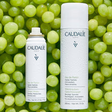 Load image into Gallery viewer, Grape Water Moisturizing Face Mist
